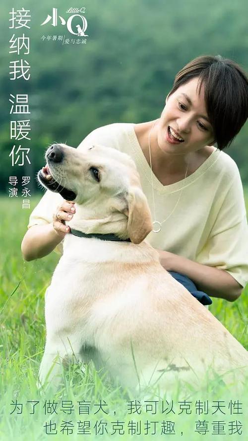 高崎商工大学Diploma in Public Administration